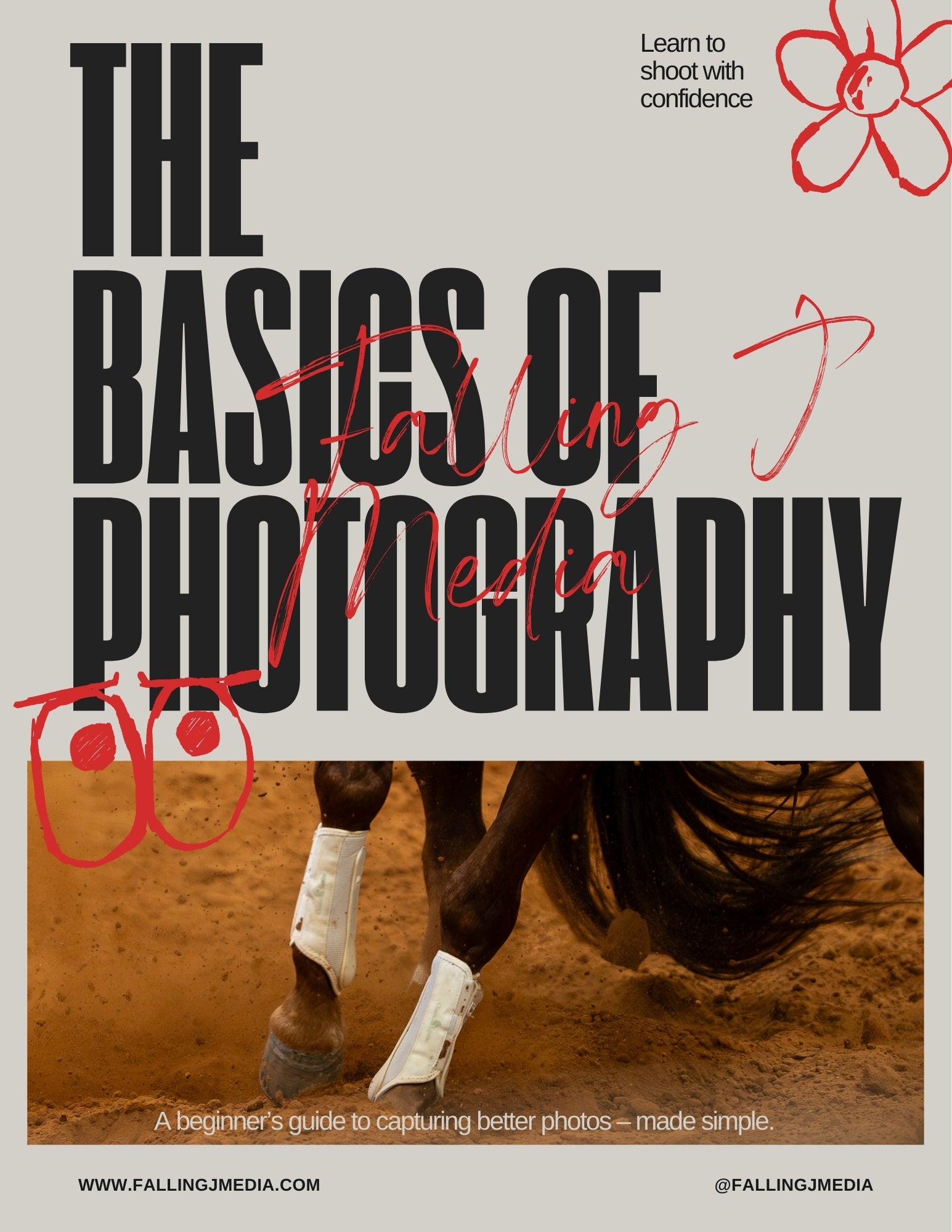 The Basics of Photography Guide